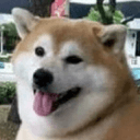 Стикеры JiBotnbie в Telegram