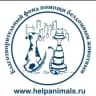 Telegram-канал Благотворительный фонд помощи бездомным животным