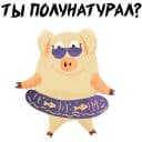 Стикеры Зимний хрюня в Telegram