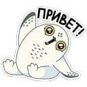 Стикеры Ирви в Telegram