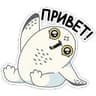 Стикерпак Ирви
