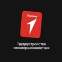 Канал Движение Первых. Трудоустройство.Воронежская область в Telegram