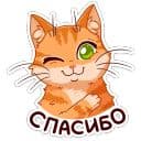 Стикеры Рыжий кот в Telegram