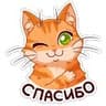 Стикерпак Рыжий кот