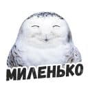 Стикеры Жиза сов в Telegram