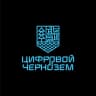 Telegram-группа Цифровой Чернозём: IT-коммьюнити Воронежа