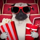Канал 🍿КИНОЛАЙН❤️‍🔥 в Telegram
