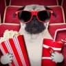 Telegram-канал 🍿КИНОЛАЙН❤️‍🔥