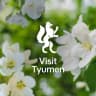 Telegram-канал Visit Tyumen | Куда сходить в Тюмени