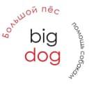 Канал Bigdog_ekb помощь собакам🏡🐕💚 в Telegram