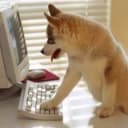 Канал Добрые мемы : ) в Telegram