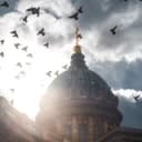 Канал Жизнь Питера 🕊️ в Telegram