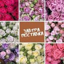 Канал 🌏ЦВЕТЫ ОПТОМ 🌸 ИМПЕРИЯ ЦВЕТОВ 🌸 в Telegram