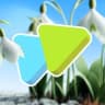 Telegram-канал Skypro: айти для всех