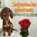 Стикеры Открытки из WhatsApp в Telegram
