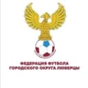 Канал Федерация футбола г.о. Люберцы в Telegram