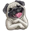 Канал Собаки / Собачки в Telegram