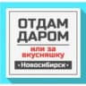 Telegram-канал Отдам даром Новосибирск