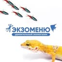 Канал EXOMENU.RU (ЭКЗОМЕНЮ) в Telegram