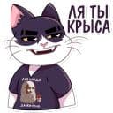 Стикеры Кот Дайвинчика в Telegram
