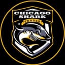 Канал Chicago Shark в Telegram