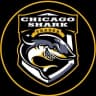 Telegram-канал Chicago Shark