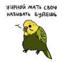 Стикеры Злые попугайчики в Telegram