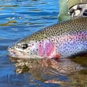 Канал KamFishing🐟- рыбалка и туризм на Камчатке в Telegram