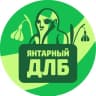 Telegram-канал ЯНТАРНЫЙ ДЛБ (Калининград)