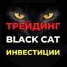Telegram-канал BLACK CAT Трейдинг