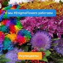 Канал Enigma горячие продажи🔥🔥 в Telegram