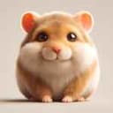 Канал 🐹 0$ в крипту в Telegram