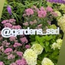 Канал Садовый центр Gardens | Москва в Telegram