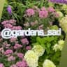 Telegram-канал Садовый центр Gardens | Москва