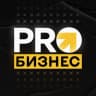 Telegram-канал PRO Бизнес