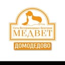 Канал 🦮 МЕДВЕТ ДМД 🐈 в Telegram