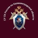 Канал Калининградский Следком в Telegram