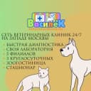 Канал Ветклиника «ВАСИЛЁК» в Telegram
