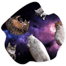 SpaceCats
