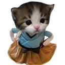Канал котячьи файлы в Telegram