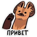 Стикеры Коготок в Telegram