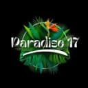 Канал Дискотеки и вечеринки Paradise 17 в Telegram