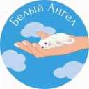 Канал #Белый_Ангел в Telegram