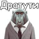 Стикеры Дерзкое животное в Telegram