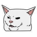 Стикеры Котомемы в Telegram
