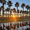 Канал 🌴 СОЧИ 🌴 Администрация - обсуждения в Telegram