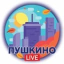 Канал Пушкино.LIVE в Telegram