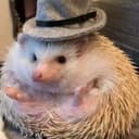 Канал ЕЖЕГРАМ 🦔🌴 в Telegram
