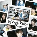 Канал Stray Kids в Telegram