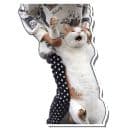 Стикеры Атпути в Telegram